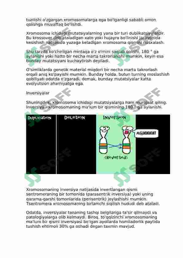 Preview 8
