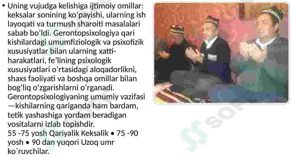 Preview 5