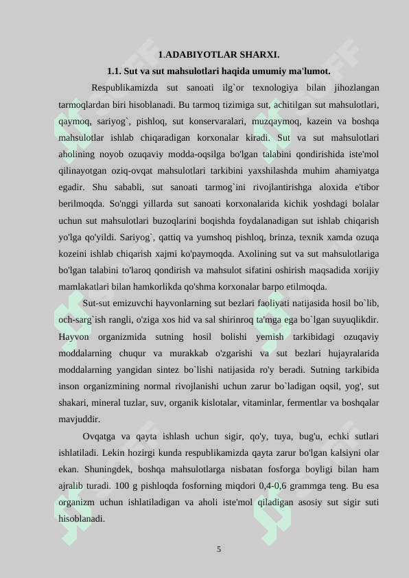 Preview 5