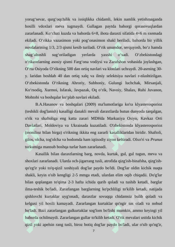 Preview 7