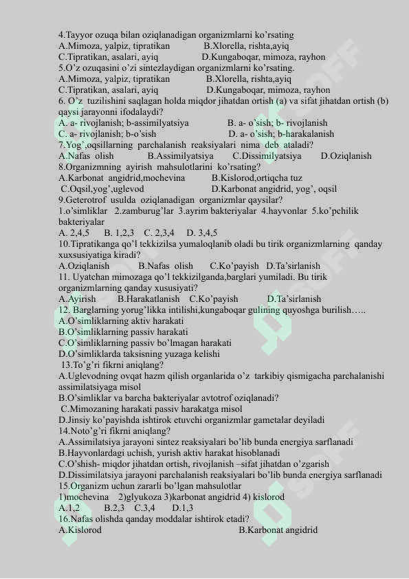 Preview 6