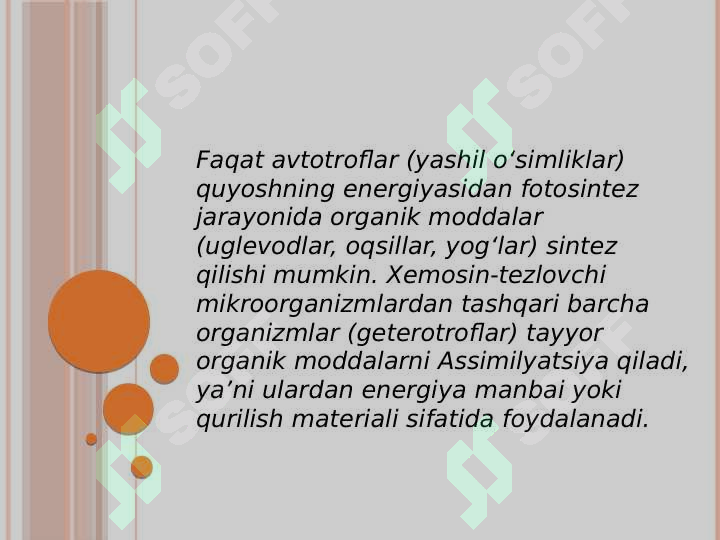 Preview 5