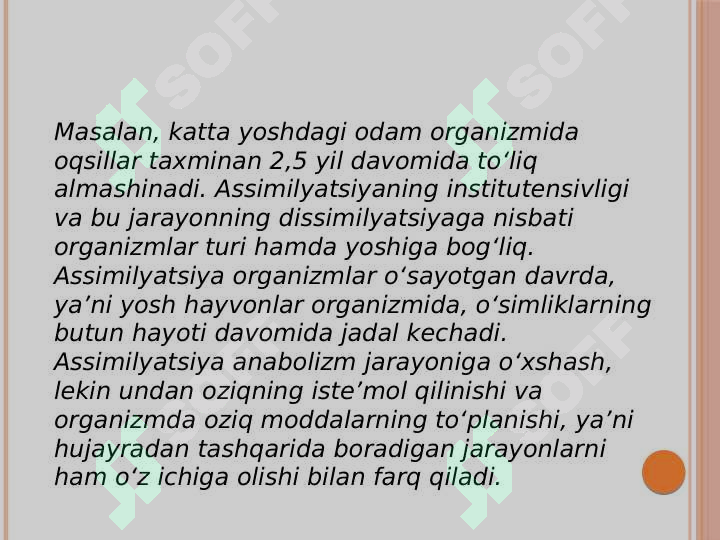 Preview 7