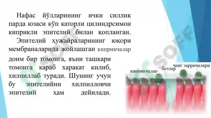 Preview 5