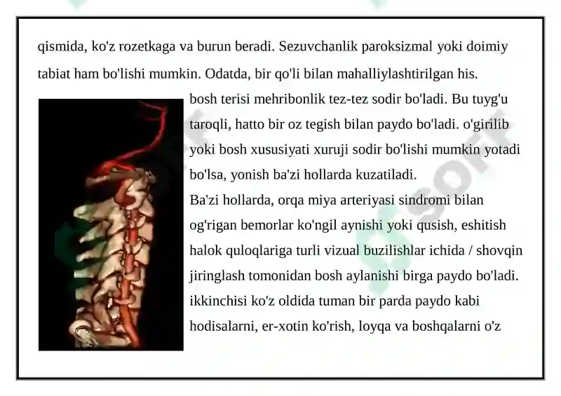 Preview 7