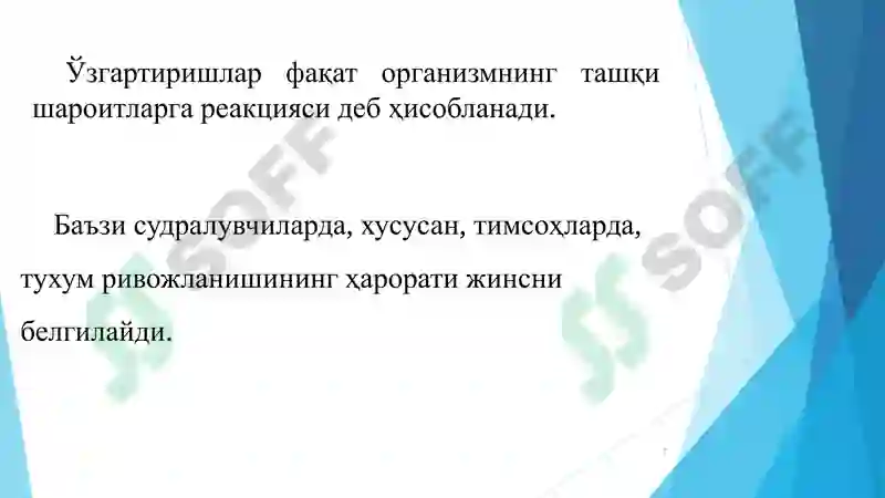 Preview 7