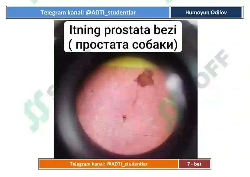 Preview 7
