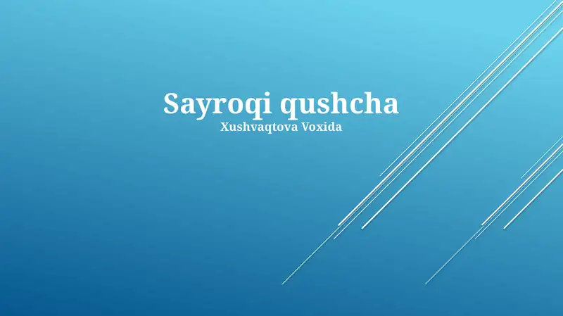 Preview 1