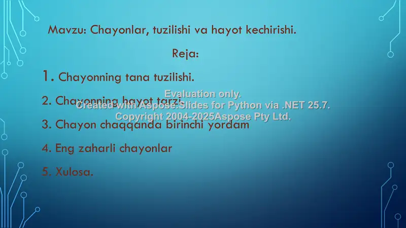 Preview 2