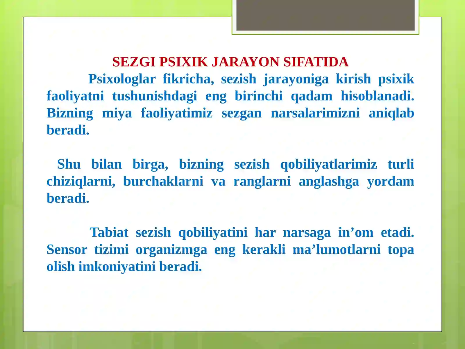 Preview 3