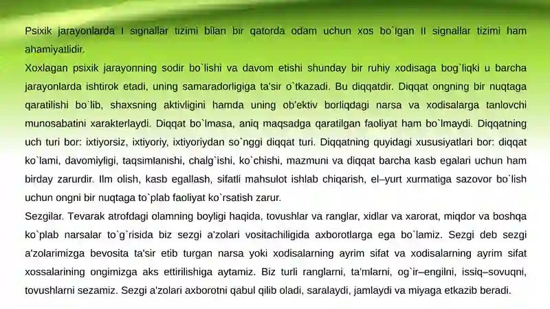 Preview 4