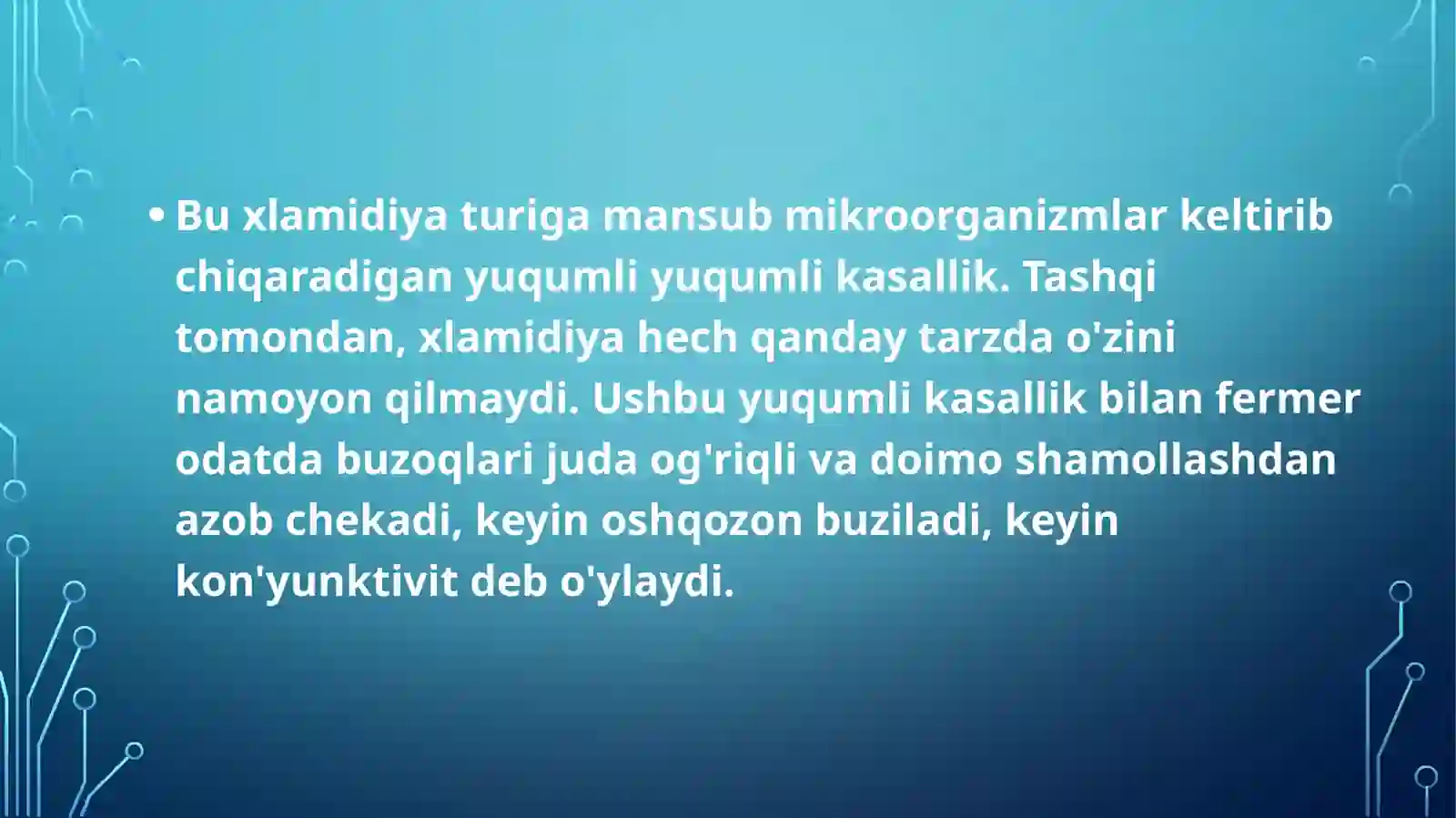 Preview 4