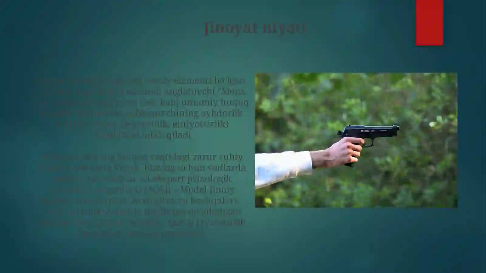 Preview 4