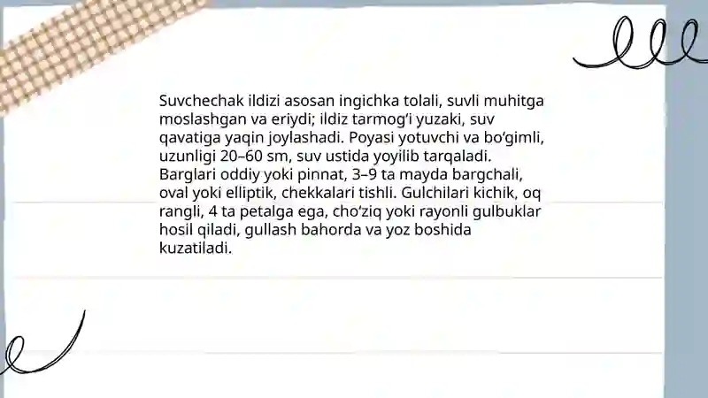 Preview 4