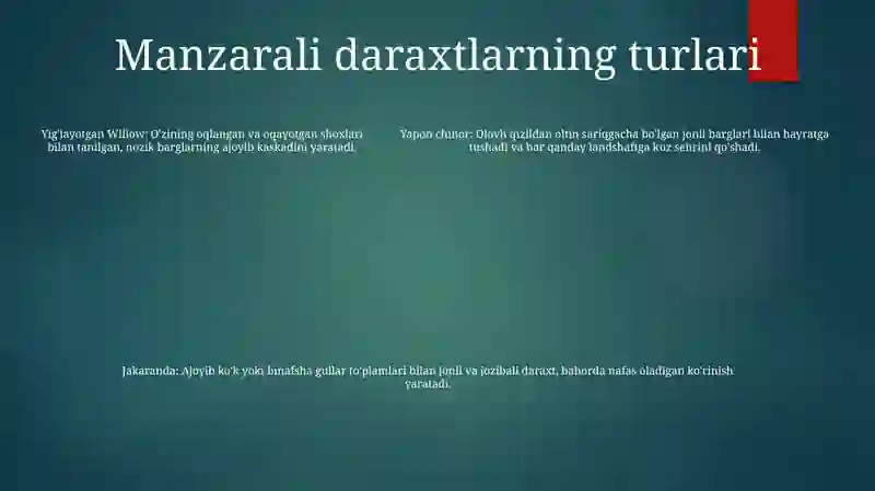 Preview 4