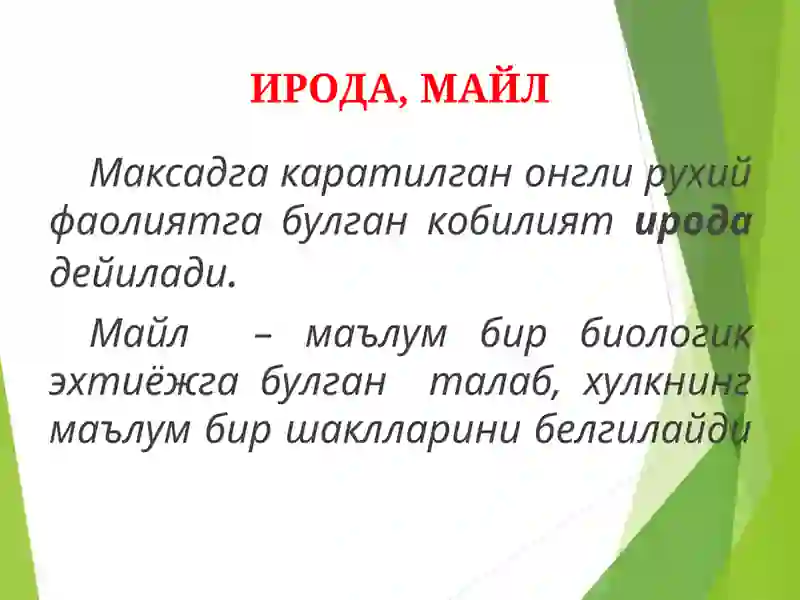 Preview 4