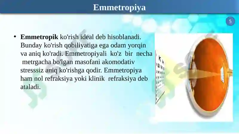 Preview 5