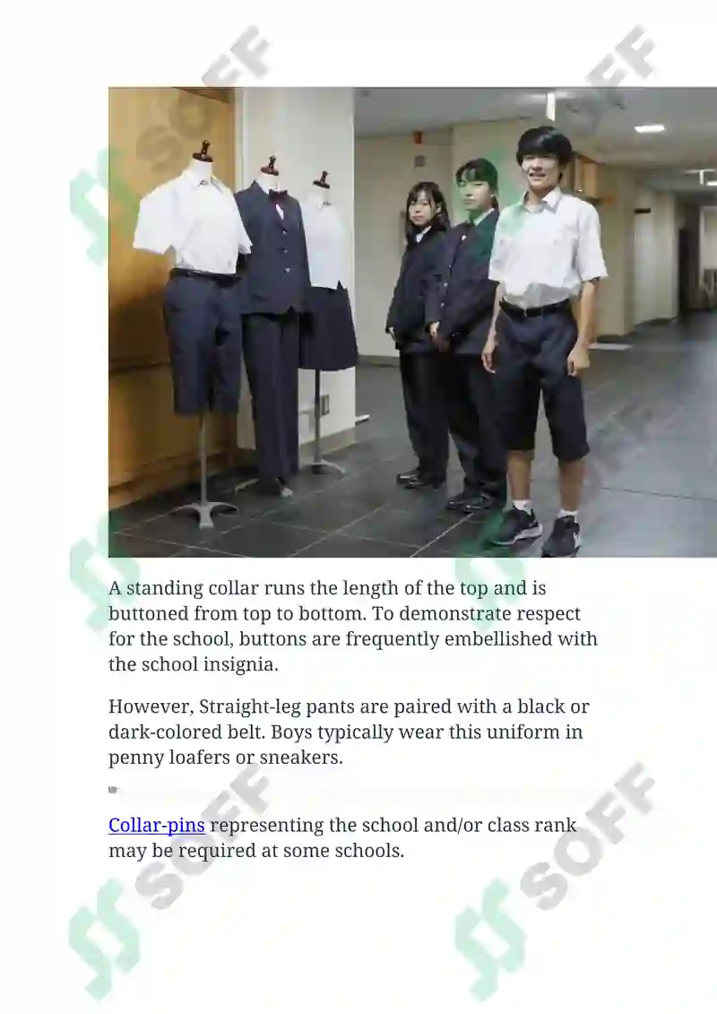 Preview 5