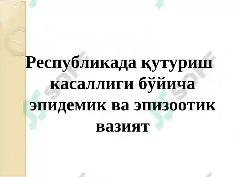 Preview 6
