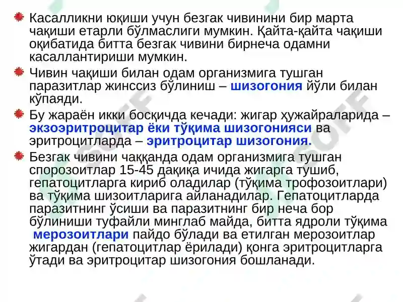 Preview 8