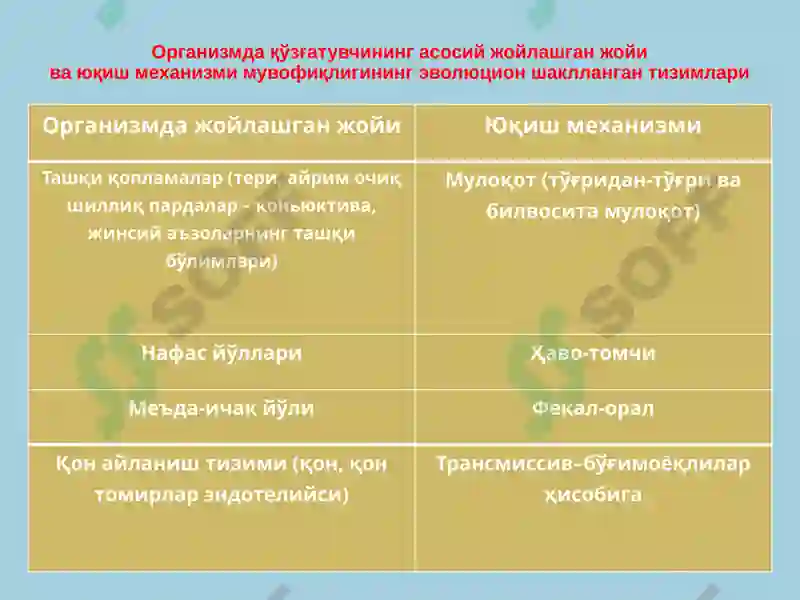 Preview 8