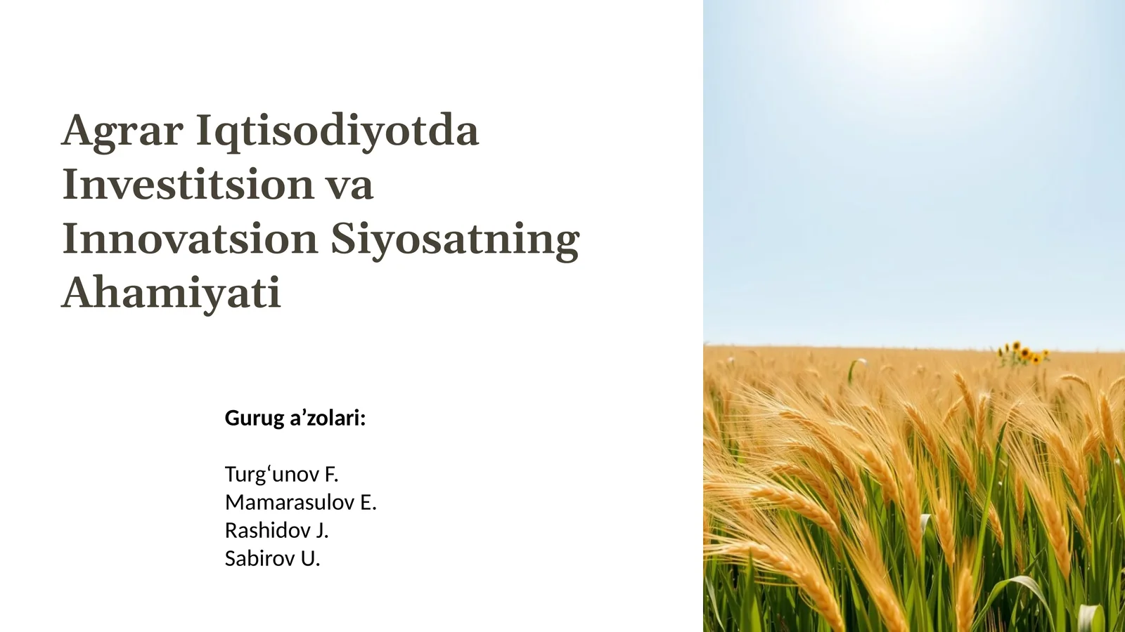 Product slide 1