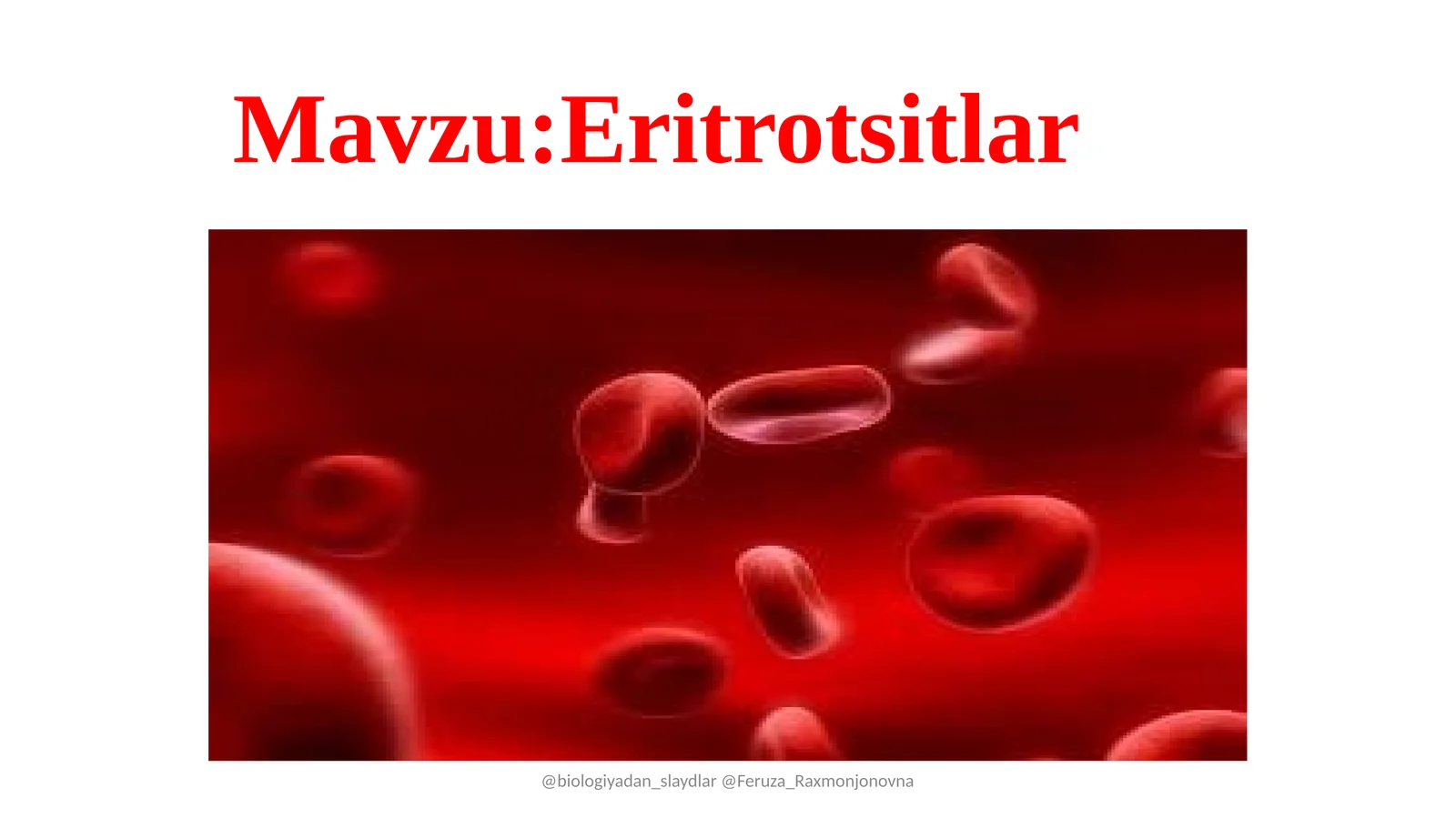 Eritrotsitlar