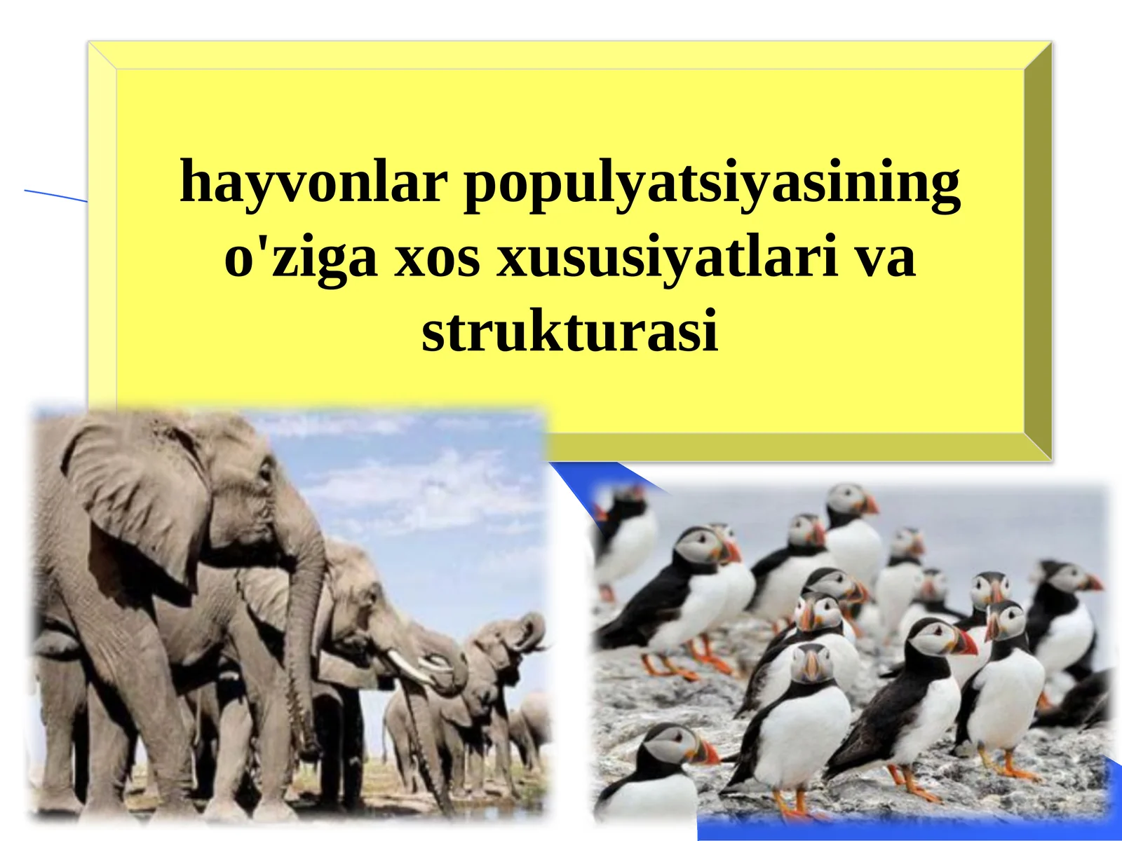 Hayvonlarning Populyatsiyasi