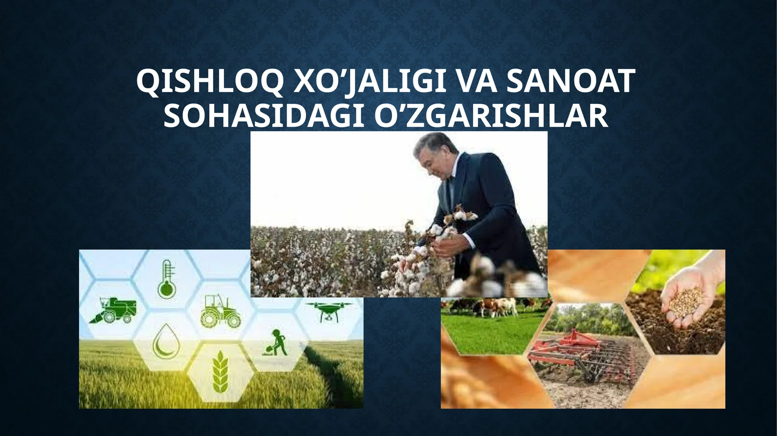 Qishloq xojaligi va sanoat sohasi