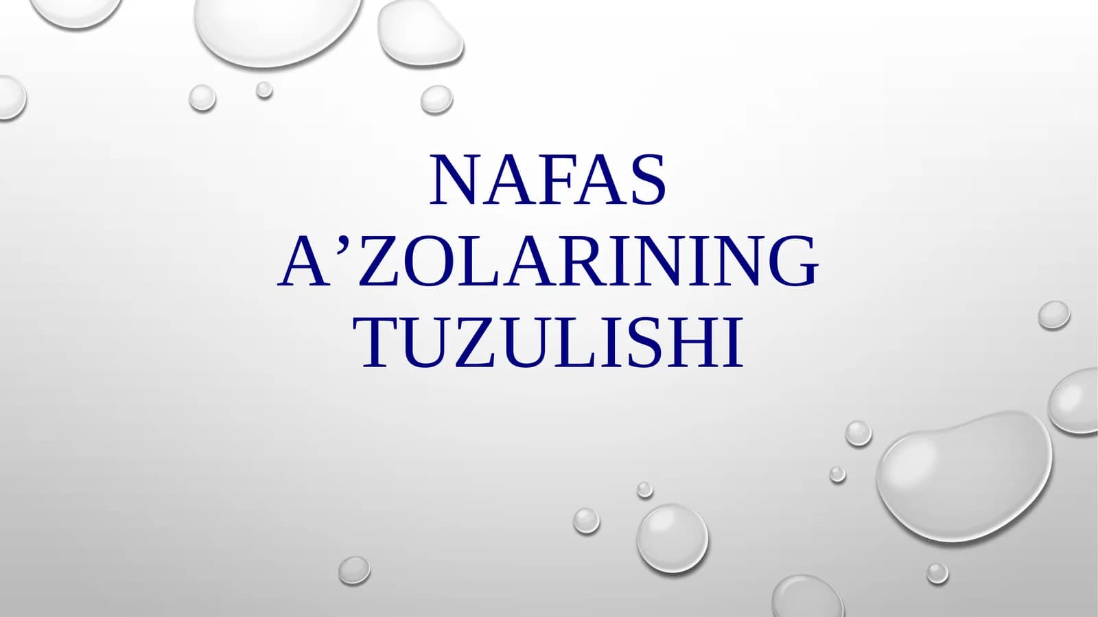 Nafas aʼzolarining tuzilishi