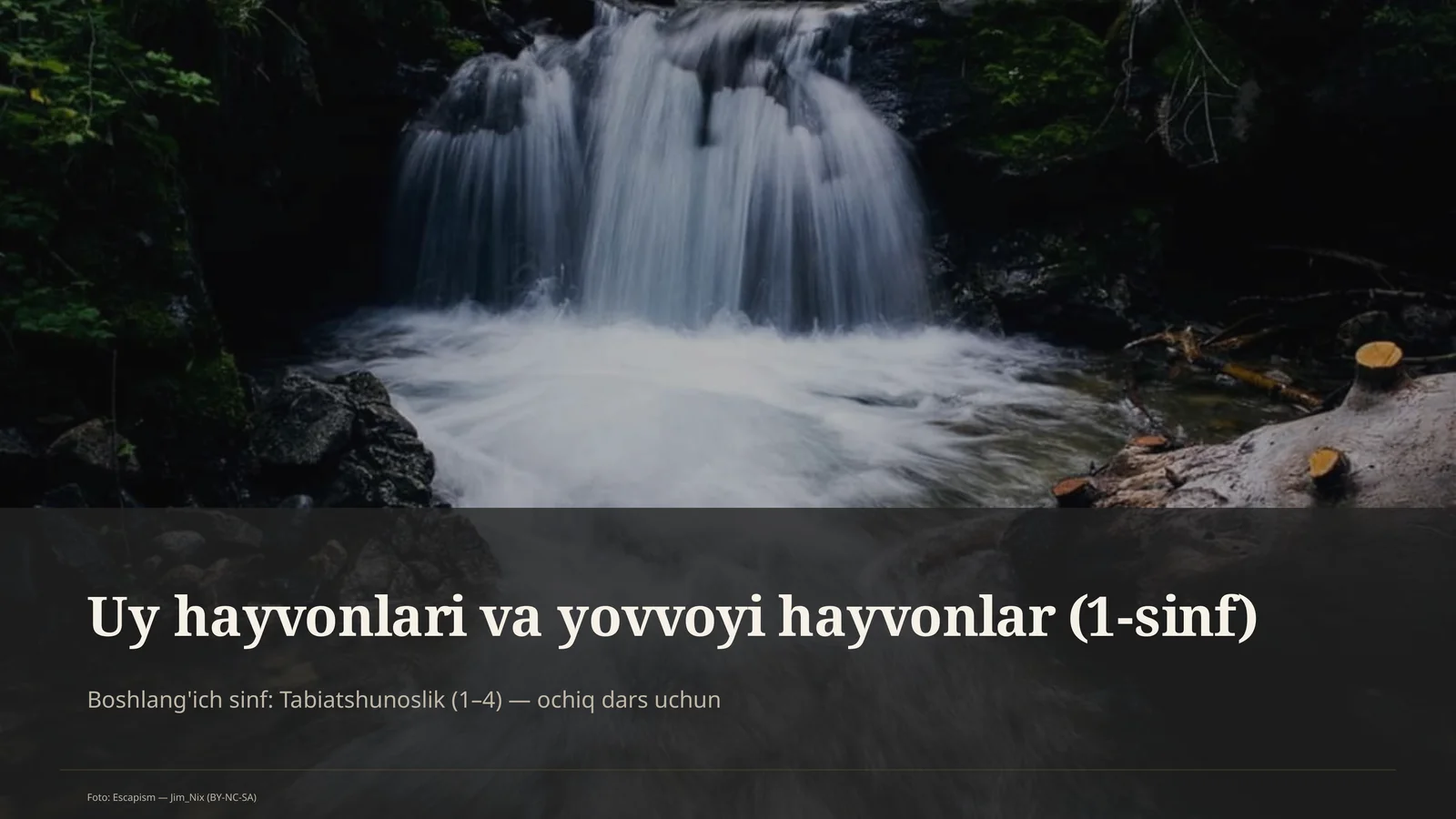Uy hayvonlari va yovvoyi hayvonlar (1-sinf)