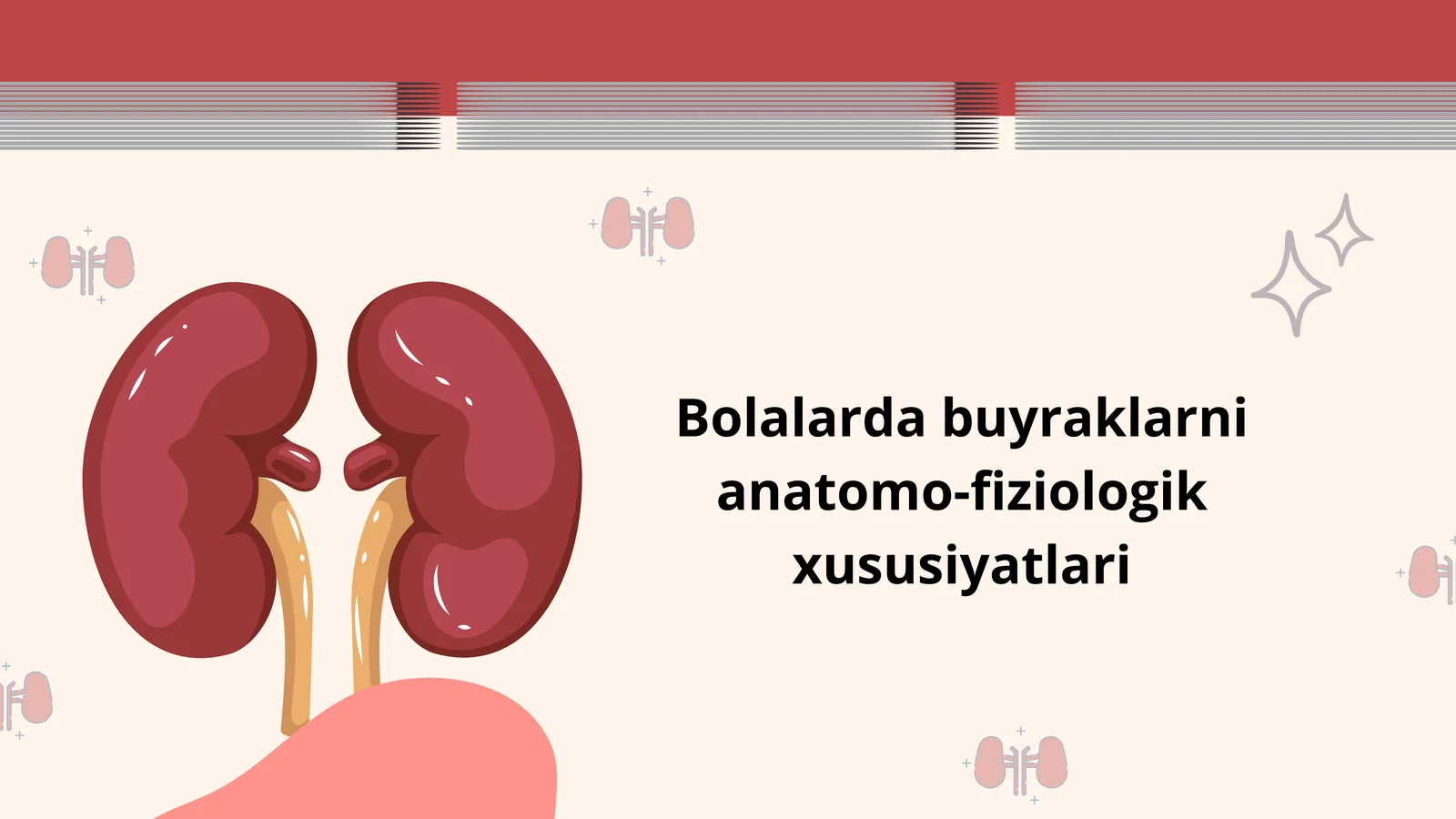 Bolalarda Buyraklarning Anatomo-Fiziologik Xususiyatlari — 12 Slaydlik Taqdimot