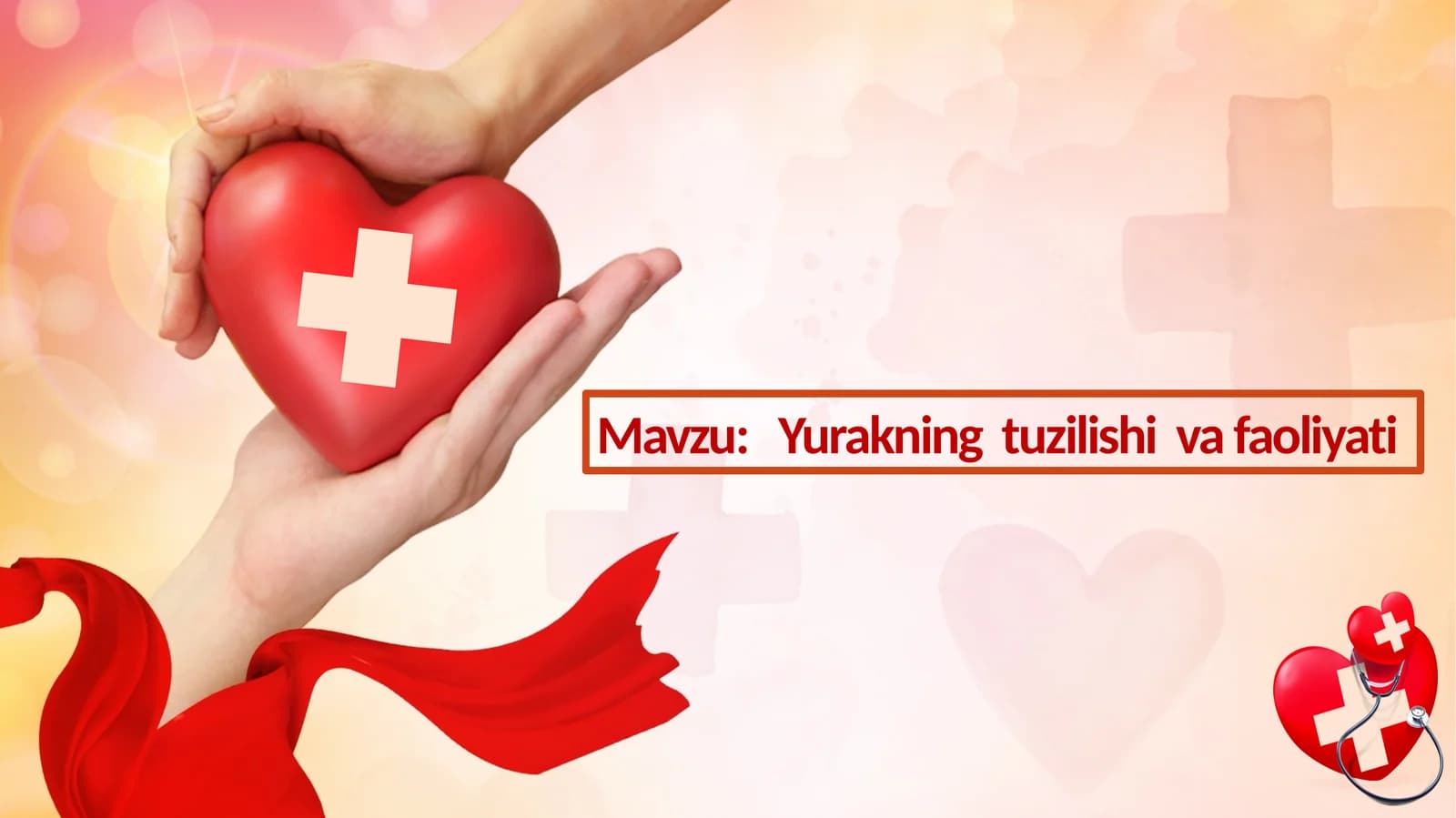 Yurakning tuzilishi va faoliyati