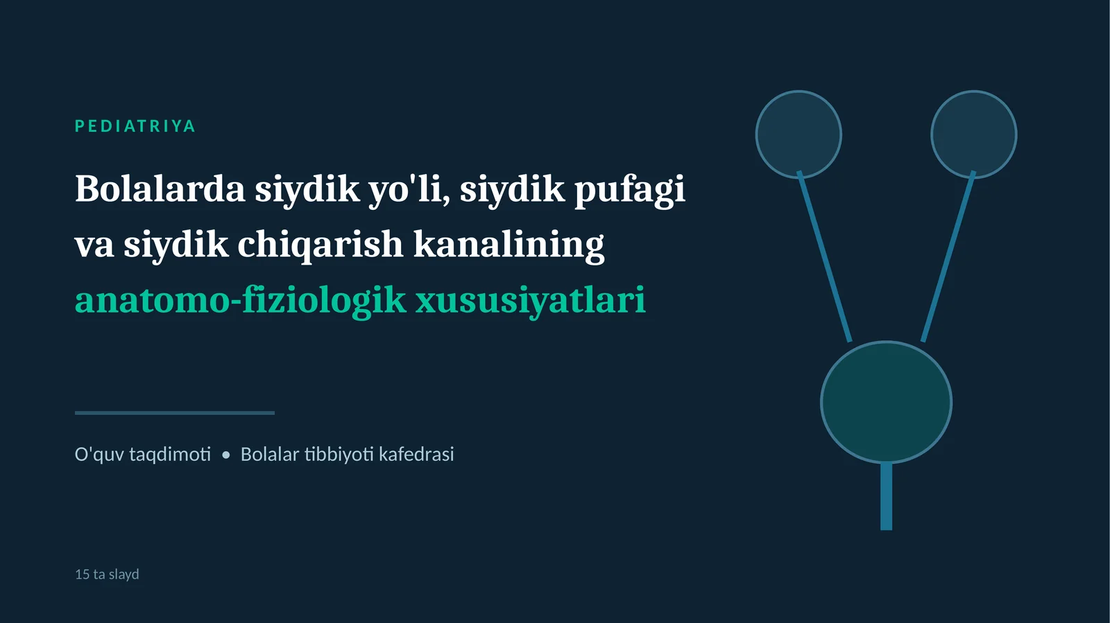 Bolalarda Siydik Yo‘llari, Siydik Pufagi va Siydik Chiqarish Kanalining Anatomo-Fiziologik Xususiyat