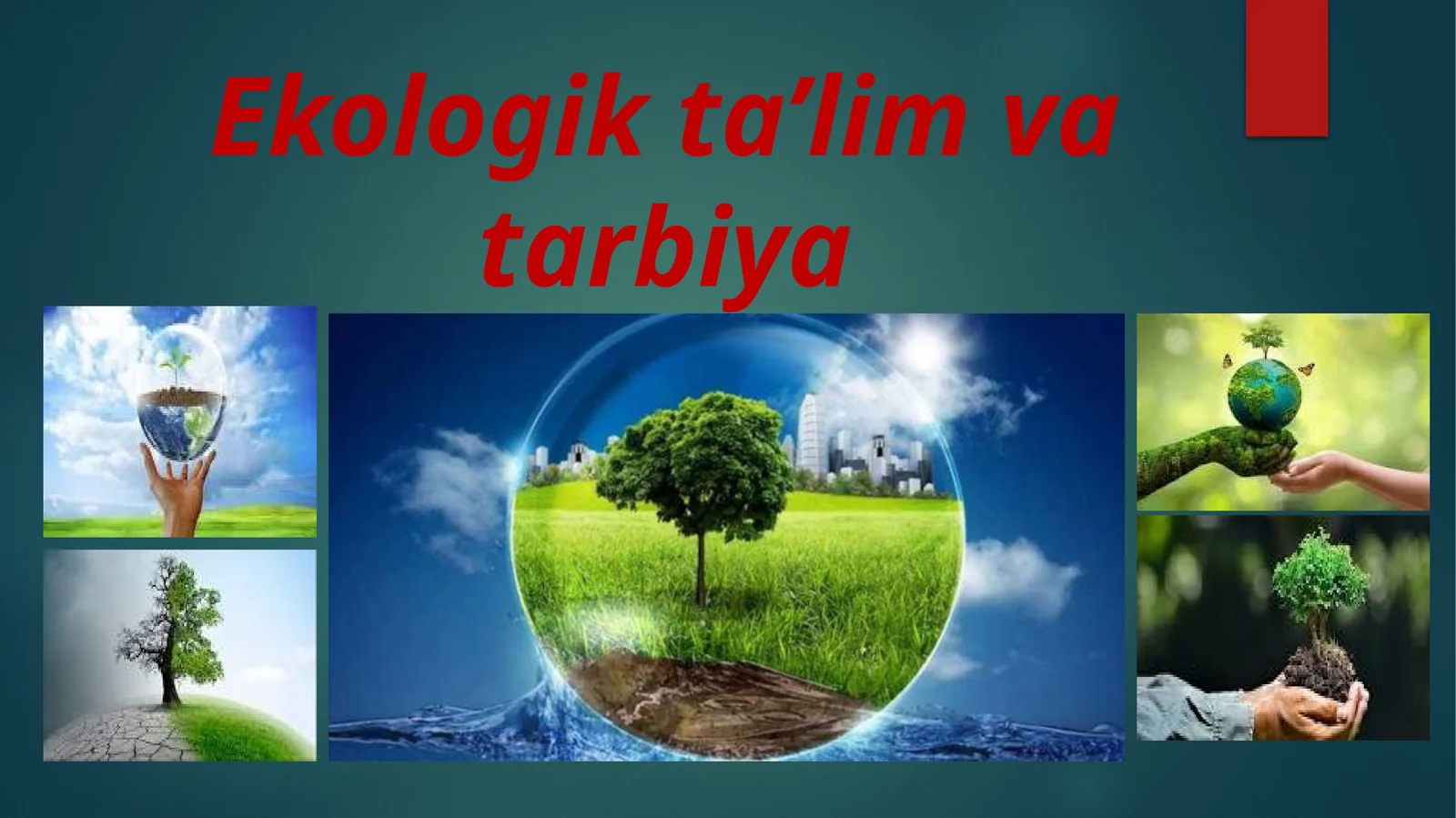Ekologik ta’lim va tarbiya