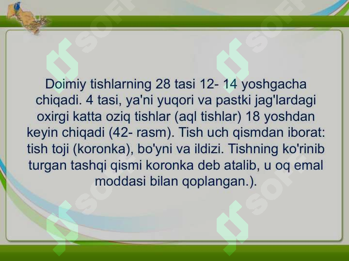 Product slide 8