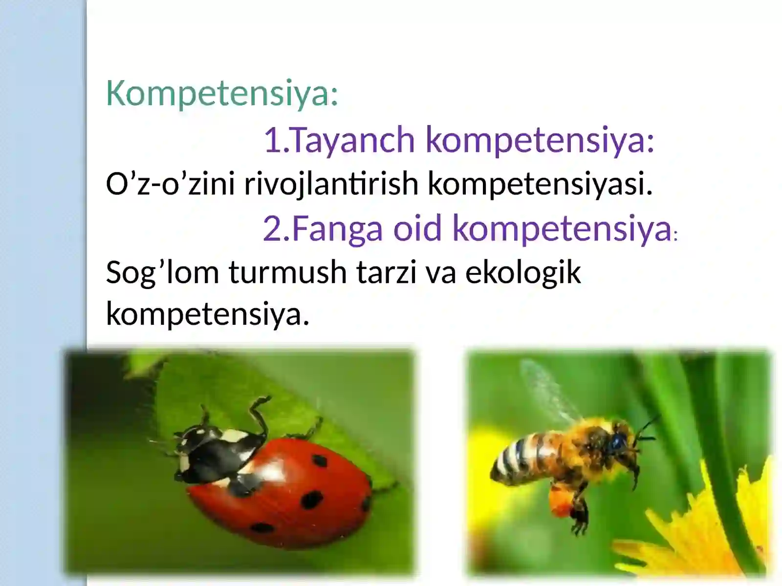 Product slide 2