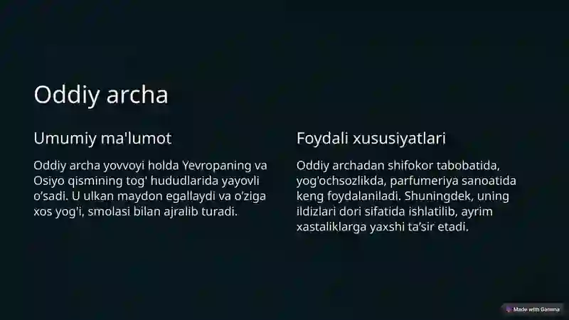 Product slide 2