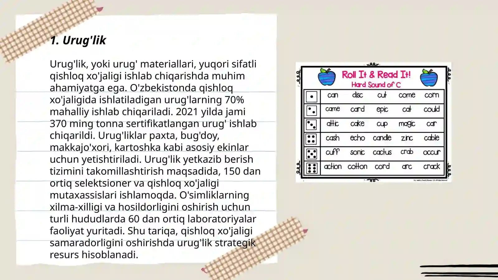Product slide 3