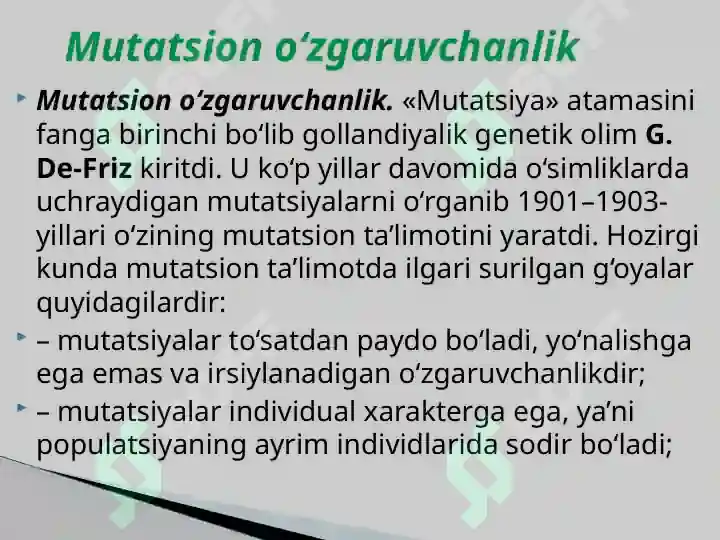 Product slide 7