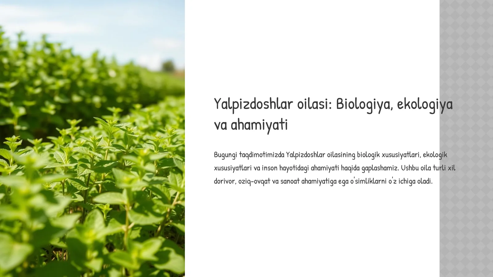 Product slide 1