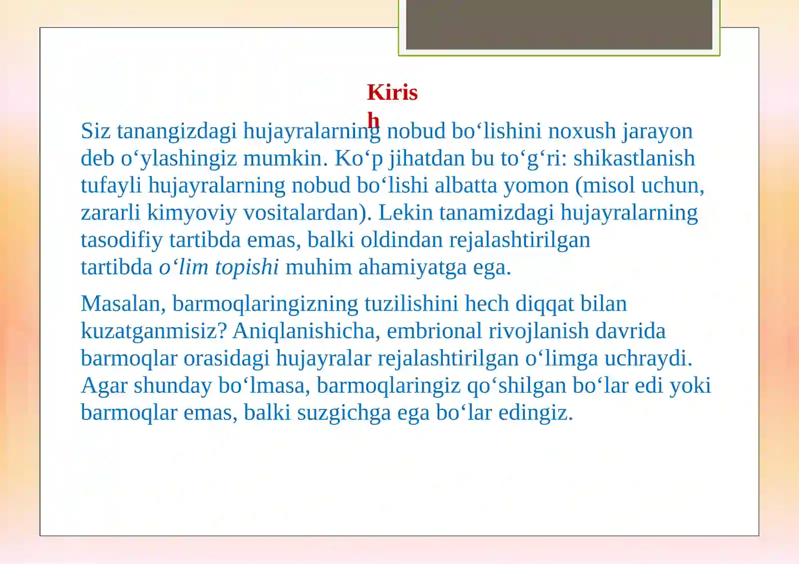 Product slide 2