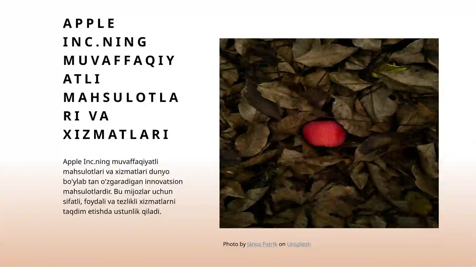 Product slide 4